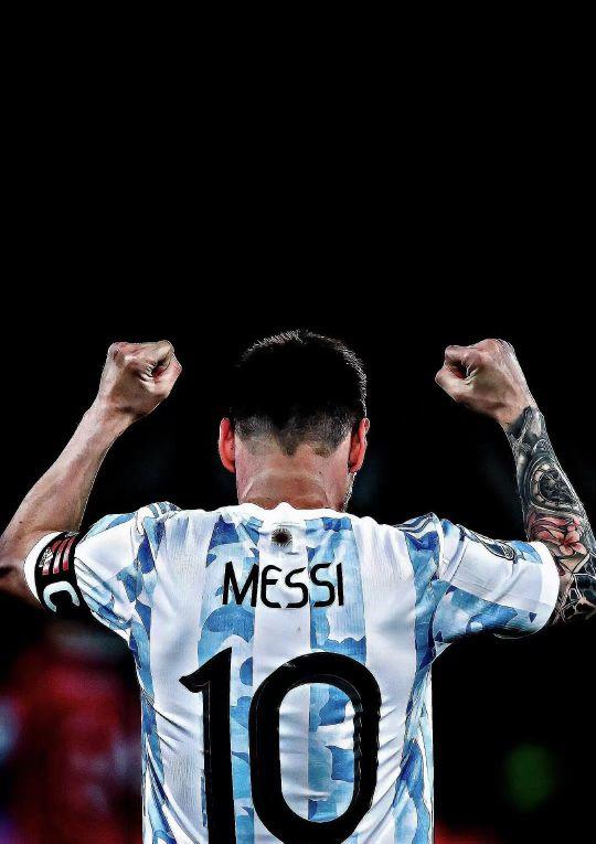 也不是只会 也不是只会